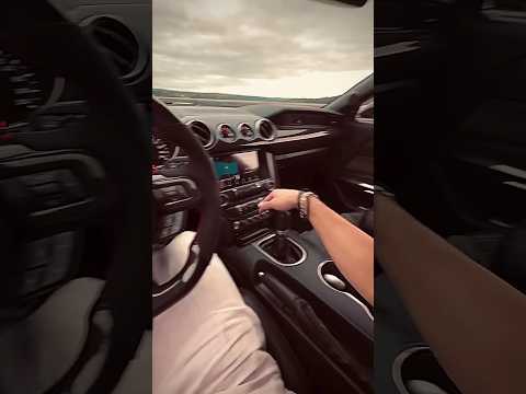 Unleashing Shelby's Top Speed: Ultimate Performance Test!   #shelby #mustang