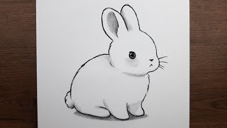 Çok kolay tavşan resmi çizimi, Adım adım kolay hayvan çizimleri
