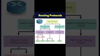 What Are Routing Protocols!!🔥🔥