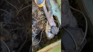 Simple Sprinkler Valve Troubleshooting - Quick Fix Tips for Sprinkler Valves #diy #sprinkler