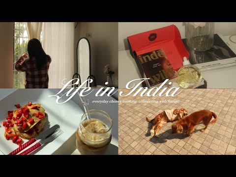 Living life to the fullest : My 20’s | Life in India | everyday chores | cooking | January diaries