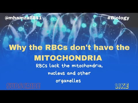 Why the RBCs lack the mitochondria nucleus and other organelles. #mdcat #alphatest #MITOCHONDRIA