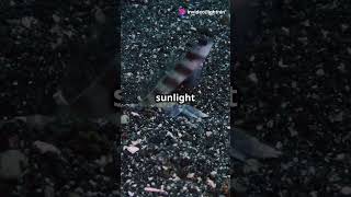 Dark Oxygen: Underwater Mystery Unveiled! #scientificdiscovery #oxygen #dark #darkoxygen #science