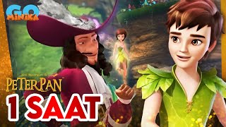 Peter Pan'ın Yeni Maceraları | 1. Sezon - 1 Saatlik Özel Bölüm - 5 | minikaGO