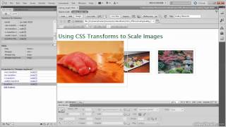 CSS3 Effects Without Images08 for begginers