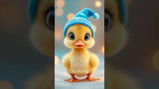 Why Do We Dream? 🌙 The Science Behind Sleepy Stories! #BrainScience #littlebigdiscoveries