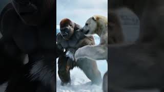 polar bear vs gorila  The Ultimate Showdown!"　 #EpicShowdown  #animalfight