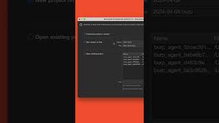 Burp Suite #Shorts | Reducing memory usage with disk-based projects