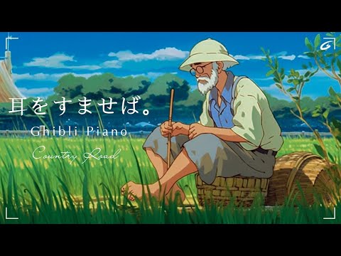 Ghibli Chill🌊 Studying, coffee, reading, healing 🎧 Ghibli Music