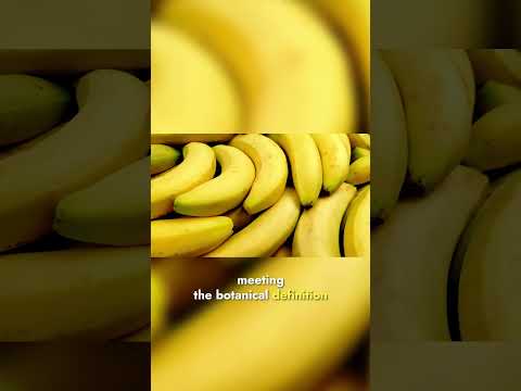 Bananas Are Berries, But Strawberries Aren't | Fruit Fun Fact | Interesting Fact about Bananas