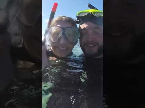 POV: Your Unemployed Friends at 9 a.m. Monday Morning 🇲🇽🚐🤙 #vanlife #roadtrip #shorts