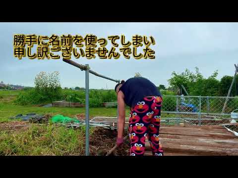 2001年生まれの俺がドカベンファームを作る（基地ずくり前編）