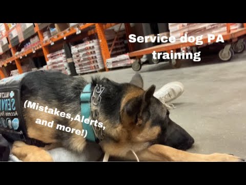A REALSTIC service dog training outing at Home Depot!