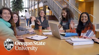 Beyond the Degree: A College of Engineering Education