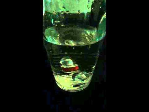 Deep Drop Flashing Dive Light