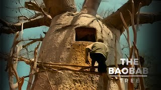 The Baobab Tree: A Lifeline for the People of Africa.