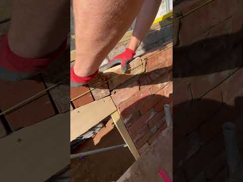 2nd year apprentice, with arch detail.