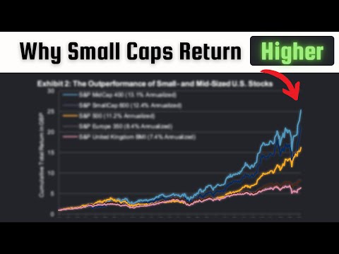 Why Small Caps Return Higher | Case Study | AAR Corp.
