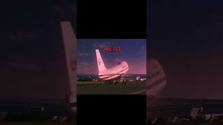 Never Let The Minions Fly A Plane Again 💀 #funny #meme   #shorts  #aviation  #fyp