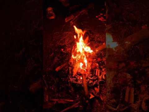 Winter's , logfire & friend's vibes