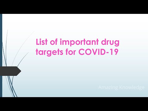 Important drug targets for COVID-19 (Corona Virus)