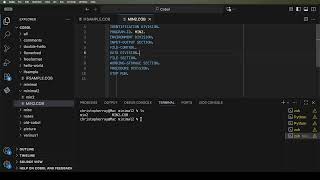 Learn Cobol: A More full minimal template.