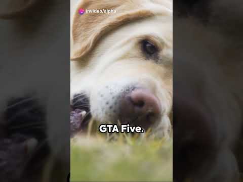 Facts About GTA 6 Trailer 1 (That You Probably Missed) || Facts About GTA 6 Trailer 1