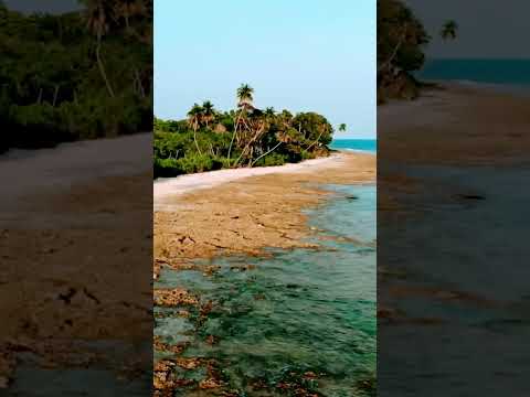 Environmental Challenges for the Andaman & Nicobar Islands #andaman