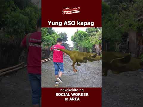 Every Field Worker Nightmare