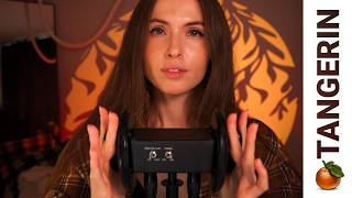 ASMR Gentle Ear Massage for Deep Sleep | Tangerin