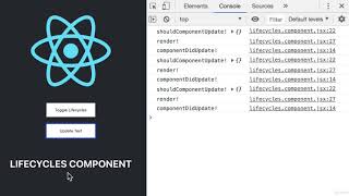 React Life Cycle Methods Updating Complete React Developer in 2020 (w/ Redux, Hooks, GraphQL)