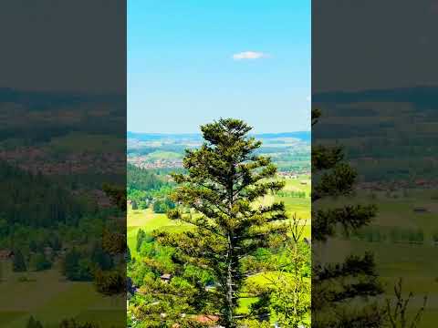 Bavaria Scenic Views #germany #lake #europe #shorts  #youtubeshorts #nature #trending #viral #german
