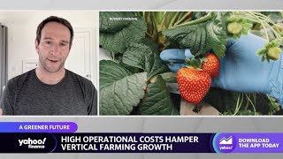 Vertical farming: We are reinventing 'the entire fresh food supply chain,’ Bowery founder says