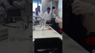 litmus paper in acid and base solution