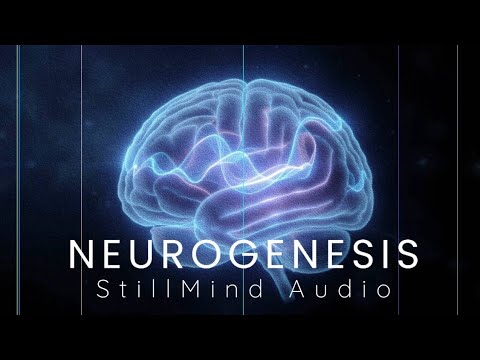 Neural Gateway Protocol: 30 Minute SMR Entrainment for Enhanced Cognitive Performance