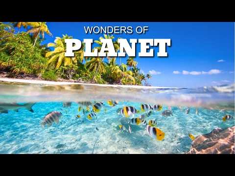 Wonders of Planet | Dream Paradise In The Middle Of The Ocean | Travel 4k