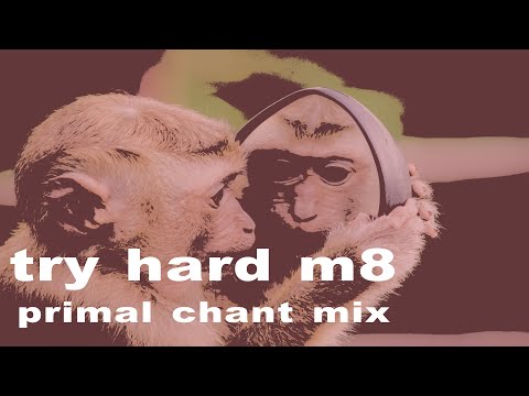 try hard m8 (primal chant mix)