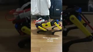 8 dof 3D quadruped robot ~ funny action