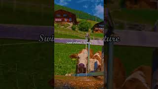 Is Switzerland's Stunning Nature Worth the Hype?