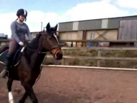 JUMPING!!!