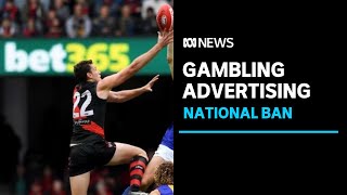 Gambling ads should be banned within three years, parliamentary committee says | ABC News