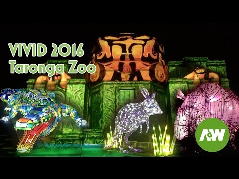 Vivid Sydney  - Vivid Taronga Zoo - Vivid 2016 Festival Light Show “Be the Light for the Wild”