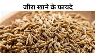 jeera ka plant