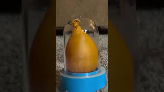 Blowing Things Up In A Vacuum Chamber! #vaccum #comment #funny #engagingcontent