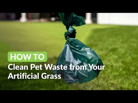 How to Clean Pet Waste from Your Artificial Grass Area – The ATS Maintenance Course
