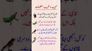 4 Animals That Broke the Laws of Nature 🧬