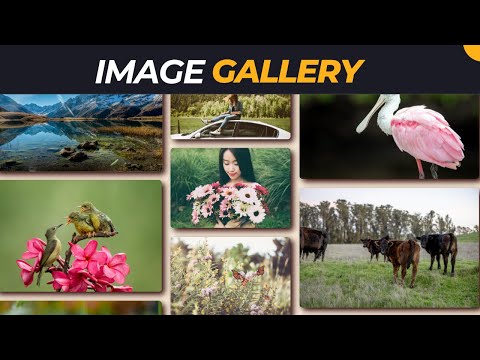 How To Make Image Gallery Using HTML & CSS | Create Image Gallery Step by Step