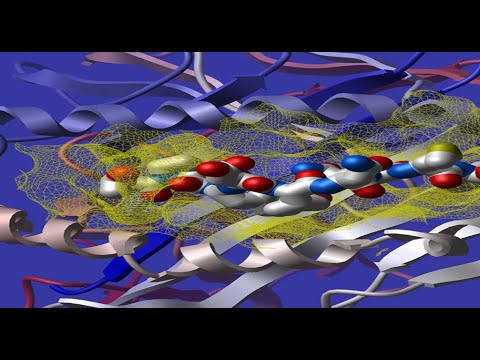 Learn Molecular Docking Easily using PyRx Virtual Screening Tool  #Part 1