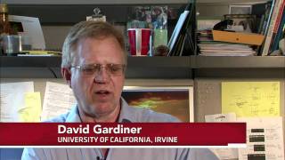 Spare Parts for Humans: Tissue Engineers Aim for Lab-Grown Limbs, Lungs and More