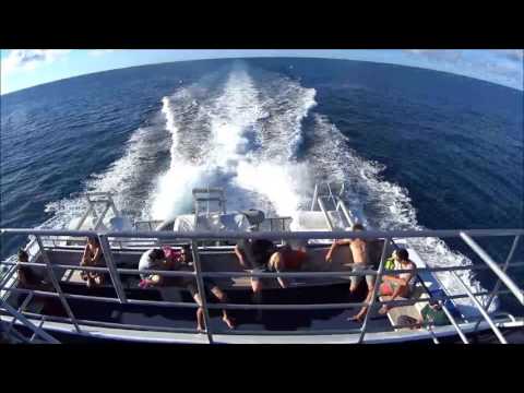 Diving Cairns 28May2016